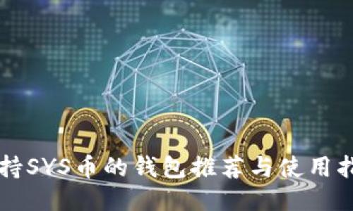 支持SYS币的钱包推荐与使用指南