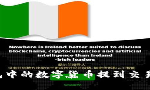 如何将TP钱包中的数字货币提到交易所？详细指南