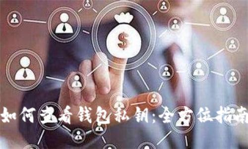 如何查看钱包私钥：全方位指南
