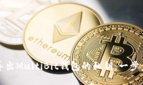 如何导出MultiBit钱包的私钥：一步步指南