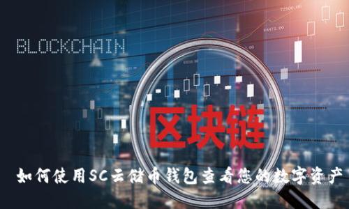  如何使用SC云储币钱包查看您的数字资产