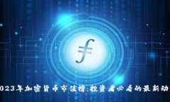 2023年加密货币市值榜：投资者必看的最新动态