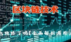 TP钱包跑路了吗？全面解析与用户指南