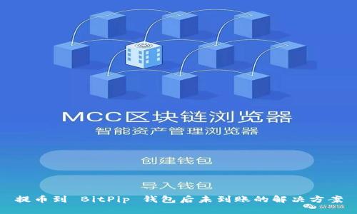 提币到 BitPip 钱包后未到账的解决方案