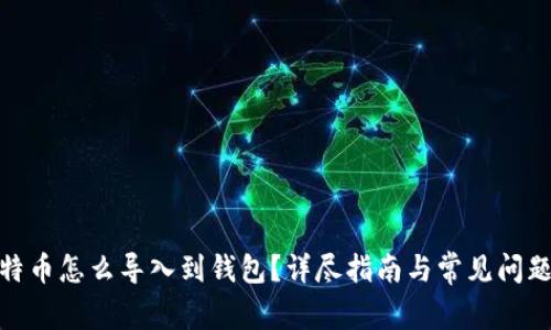 : 比特币怎么导入到钱包？详尽指南与常见问题解答
