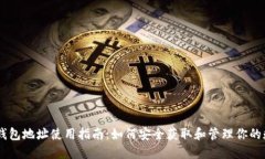 蚂蚁S9钱包地址使用指南：如何安全获取和管理你