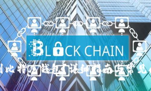 如何找到比特儿钱包？详细指南与常见问题解答