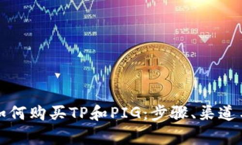 全面解析如何购买TP和PIG：步骤、渠道与注意事项