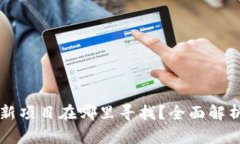 币圈最新项目在哪里寻找？全面解析及建议