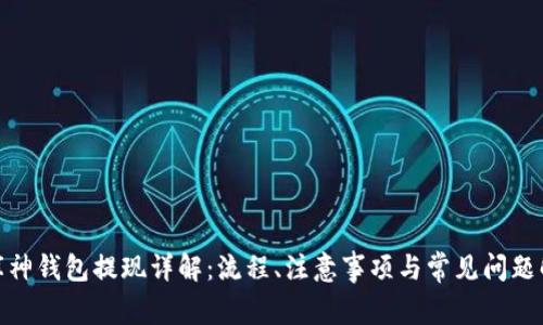 : 库神钱包提现详解：流程、注意事项与常见问题解答