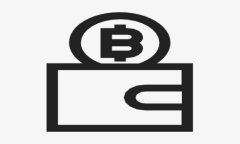 最火的数字钱包：安全、便捷、未来支付的选择