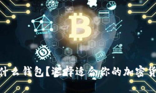 BCC放什么钱包？选择适合你的加密货币钱包
