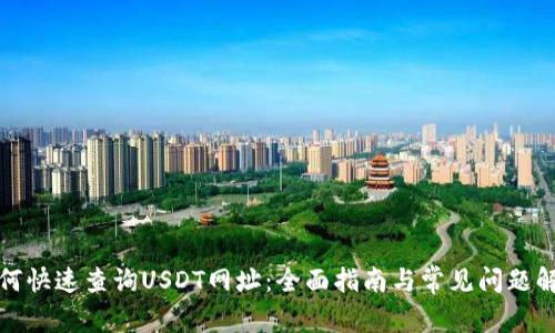 如何快速查询USDT网址：全面指南与常见问题解答