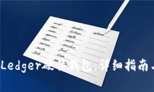  如何购买Ledger硬件钱包：详细指南与注意事项