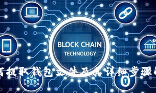 如何提取钱包文件及其详细步骤解析