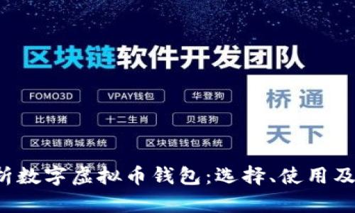  全面解析数字虚拟币钱包：选择、使用及安全指南