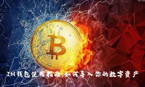 IM钱包使用指南：如何导入你的数字资产