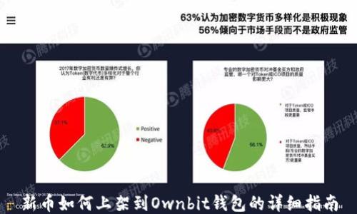 
新币如何上架到Ownbit钱包的详细指南