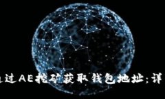 如何通过AE挖矿获取钱包地址：详细指南