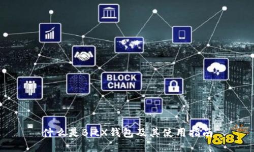 什么是BitX钱包及其使用指南
