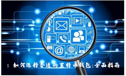 : 如何选择合适的莱特币钱包：全面指南