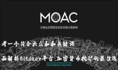 思考一个符合大众和和关键词全面解析Bitdeer平台