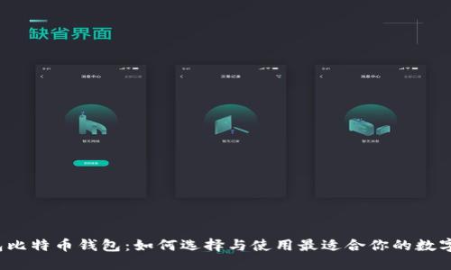  币包比特币钱包：如何选择与使用最适合你的数字钱包
