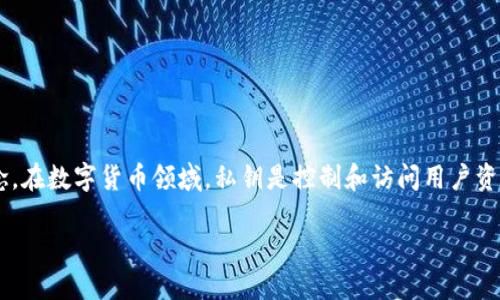 脑钱包私钥导出是一个涉及到数字货币安全和私钥管理的重要概念。在数字货币领域，私钥是控制和访问用户资产的关键，因此理解如何安全地导出和管理这些私钥是至关重要的。

脑钱包私钥导出指南：如何安全导出和管理你的数字资产