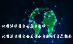 比特派被转出去怎么追回比特派被转出去后该如