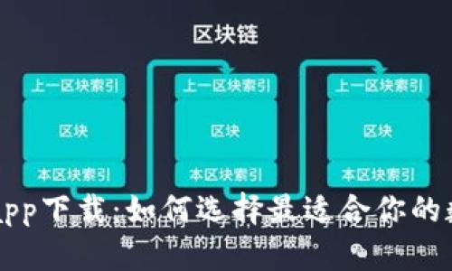 : AE币钱包app下载：如何选择最适合你的数字货币钱包