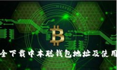 : 如何安全下载中本聪钱包地址及使用注意事项