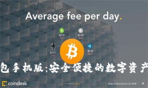 域名币钱包手机版：安全便捷的数字资产管理工具