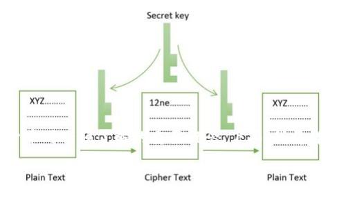 派币监测，特别是其钱包的助记词，是每位用户在使用数字货币时必须了解的重要概念。下面，我将详细介绍有关派币钱包及助记词的内容，并解答一些相关问题。

派币钱包助记词详解：安全保护你的数字资产