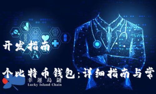 比特币钱包开发指南

如何开发一个比特币钱包：详细指南与常见问题解答