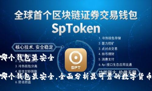 数字货币哪个钱包最安全

数字货币哪个钱包最安全，全面分析最可靠的数字货币钱包选择