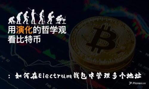 : 如何在Electrum钱包中管理多个地址