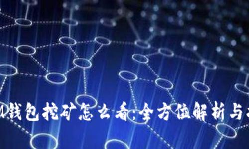 BTM钱包挖矿怎么看：全方位解析与指南