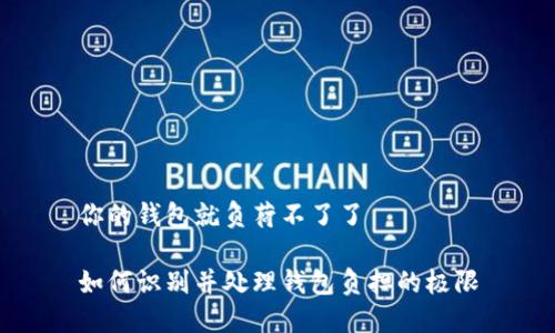 你的钱包就负荷不了了

如何识别并处理钱包负担的极限