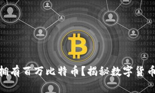  BM钱包是否拥有百万比特币？揭秘数字货币中的神秘巨头