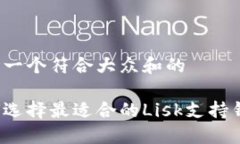 思考一个符合大众和的如何选择最适合的Lisk支持