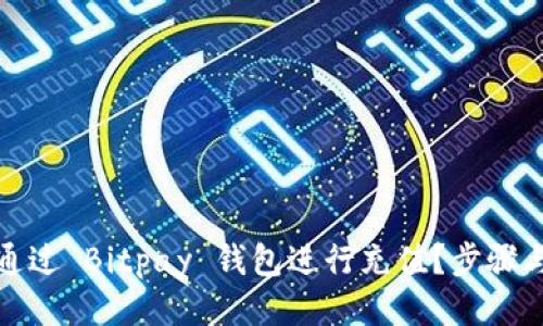 如何通过 Bitpay 钱包进行充值？步骤与技巧