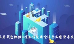什么是钱包地址0x？如何使用它进行加密货币交易