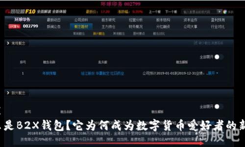 封装  
什么是B2X钱包？它为何成为数字货币爱好者的新宠？