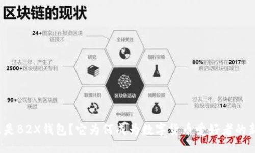 封装  
什么是B2X钱包？它为何成为数字货币爱好者的新宠？