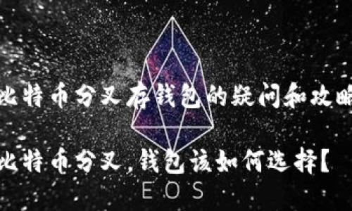 比特币分叉存钱包的疑问和攻略

比特币分叉，钱包该如何选择？