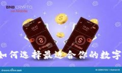 DCR网页钱包：如何选择最适合你的数字货币存储