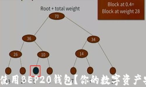 
如何下载和使用BEP20钱包？你的数字资产安全在哪里？
