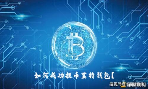 如何成功提币莱特钱包？