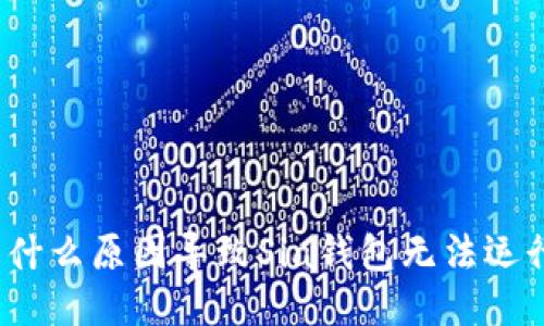 是什么原因导致Sia钱包无法运行？