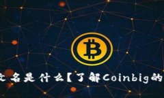 Coinbig中文名是什么？了解Coinbig的背景与特色